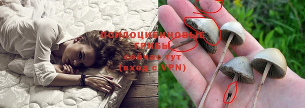 прущая мука Алзамай