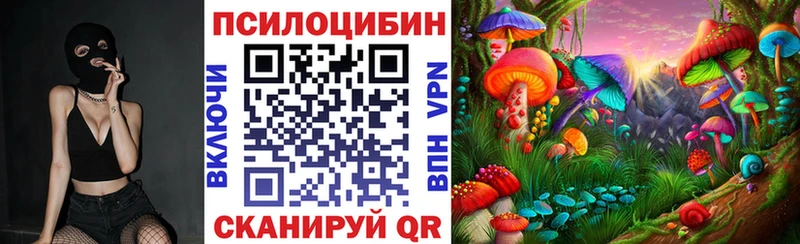 hydra ONION Чердынь Псилоцибиновые грибы GOLDEN TEACHER